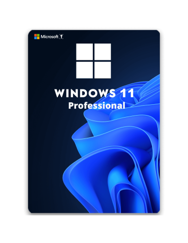 Windows 11 Pro
