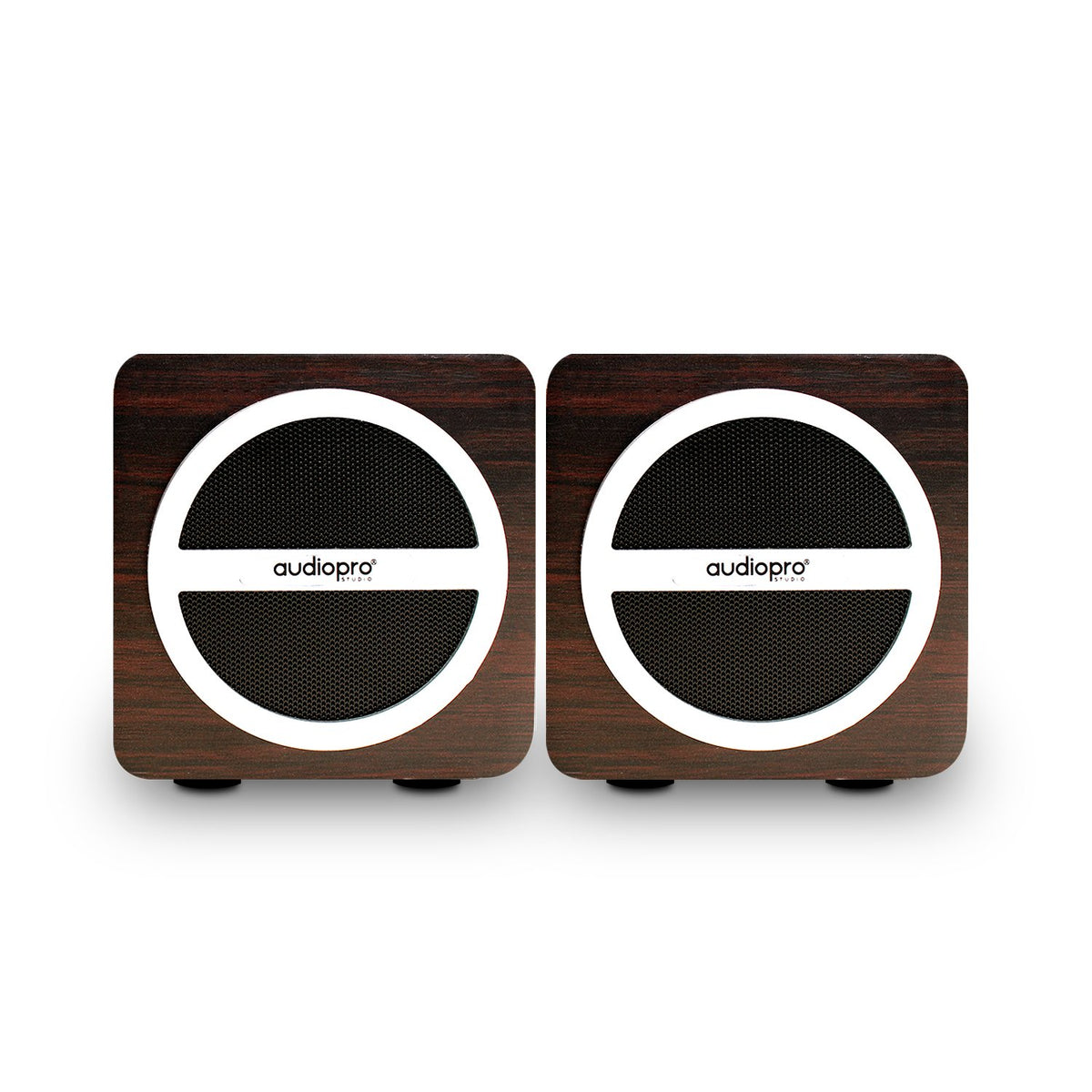 Parlante Audiopro Portátil BT con SD/USB/Radio FM