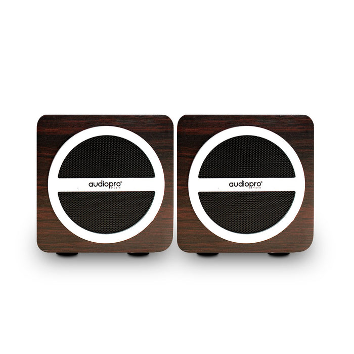 Parlante Audiopro Portátil BT con SD/USB/Radio FM