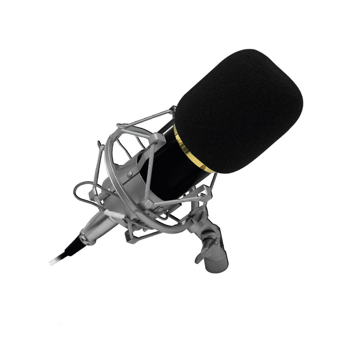 Micrófono condensador profesional Audiopro